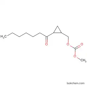 Molecular Structure of 90075-12-0 (Carbonic acid, methyl [2-(1-oxoheptyl)cyclopropyl]methyl ester)