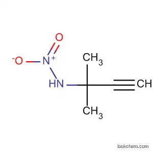 Molecular Structure of 90104-57-7 (3-Butyn-2-amine, 2-methyl-N-nitro-)