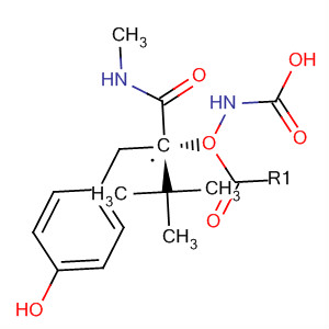 Molecular Structure of 144288-12-0 (Carbamic acid,
[(1S)-1-[(4-hydroxyphenyl)methyl]-2-(methylamino)-2-oxoethyl]-,
1,1-dimethylethyl ester)