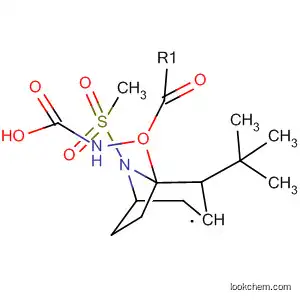 Molecular Structure of 651056-46-1 (Carbamic acid, [(3-exo)-8-(methylsulfonyl)-8-azabicyclo[3.2.1]oct-3-yl]-,
1,1-dimethylethyl ester)
