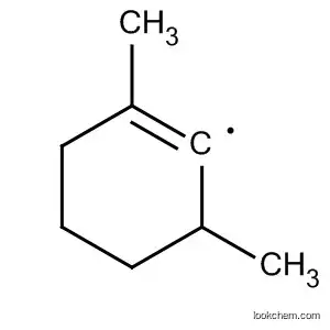 Molecular Structure of 77323-02-5 (Cyclohexadienyl, 2,6-dimethyl-)
