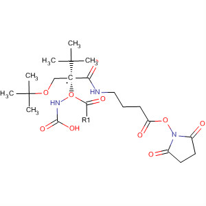 Molecular Structure of 799768-35-7 (Carbamic acid,
[(1S)-1-[(1,1-dimethylethoxy)methyl]-2-[[4-[(2,5-dioxo-1-pyrrolidinyl)oxy]-
4-oxobutyl]amino]-2-oxoethyl]-, 1,1-dimethylethyl ester)