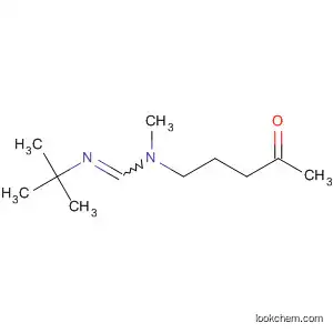 Molecular Structure of 144708-61-2 (Methanimidamide, N'-(1,1-dimethylethyl)-N-methyl-N-(4-oxopentyl)-)