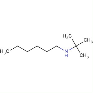 1-Hexanamine, N-(1,1-dimethylethyl)-
