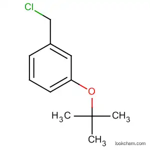 Molecular Structure of 51503-06-1 (Benzene, 1-(chloromethyl)-3-(1,1-dimethylethoxy)-)