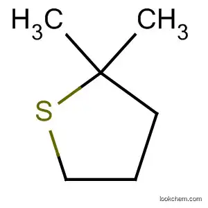 Molecular Structure of 5161-75-1 (Thiophene, tetrahydro-2,2-dimethyl-)