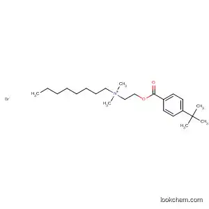 Molecular Structure of 102719-69-7 (1-Octanaminium,
N-[2-[[4-(1,1-dimethylethyl)benzoyl]oxy]ethyl]-N,N-dimethyl-, bromide)