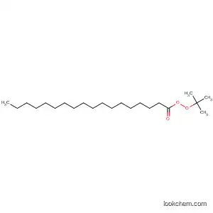 Molecular Structure of 2123-89-9 (Octadecaneperoxoic acid, 1,1-dimethylethyl ester)