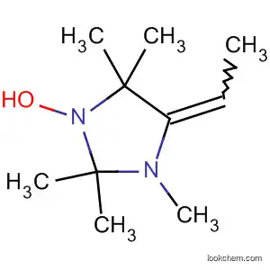 Molecular Structure of 70387-79-0 (1-Imidazolidinyloxy, 4-ethylidene-2,2,3,5,5-pentamethyl-)