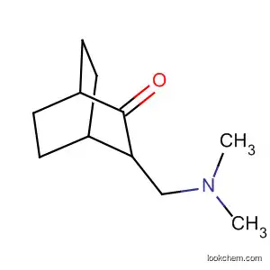 Molecular Structure of 92492-01-8 (Bicyclo[2.2.2]octanone, 3-[(dimethylamino)methyl]-)