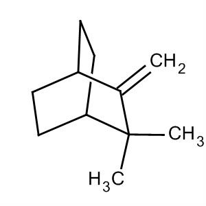 Molecular Structure of 102435-72-3 (Bicyclo[2.2.2]octane, 2,2-dimethyl-3-methylene-)