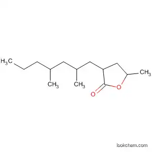 Molecular Structure of 110444-32-1 (2(3H)-Furanone, 3-(2,4-dimethylheptyl)dihydro-5-methyl-)
