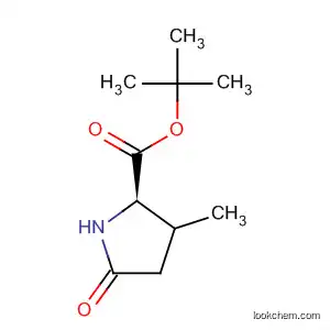 Molecular Structure of 113647-40-8 (D-Proline, 3-methyl-5-oxo-, 1,1-dimethylethyl ester, cis-)