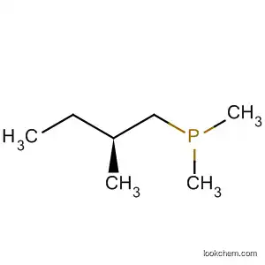 Molecular Structure of 113738-11-7 (Phosphine, dimethyl(2-methylbutyl)-, (S)-)