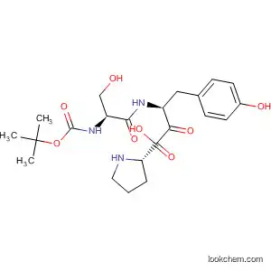 Molecular Structure of 113739-31-4 (L-Proline, 1-[N-[N-[(1,1-dimethylethoxy)carbonyl]-L-seryl]-L-tyrosyl]-)