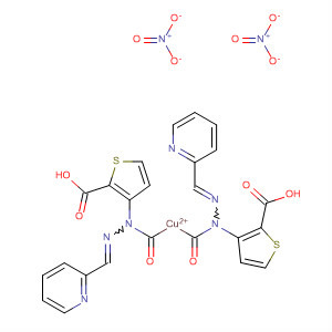 Molecular Structure of 113971-80-5 (Copper(2+), bis[2-thiophenecarboxylic acid
(2-pyridinylmethylene)hydrazide]-, dinitrate)