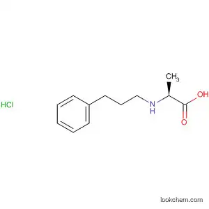 Molecular Structure of 124369-87-5 (b-Alanine, N-(3-phenylpropyl)-, hydrochloride)