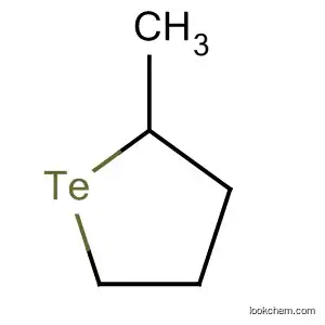 Molecular Structure of 125946-20-5 (Tellurophene, tetrahydro-2-methyl-)