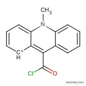 Molecular Structure of 46866-68-6 (Acridinium, 9-(chlorocarbonyl)-10-methyl-)