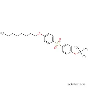 Molecular Structure of 184538-23-6 (Benzene, 1-(1,1-dimethylethoxy)-4-[[4-(octyloxy)phenyl]sulfonyl]-)