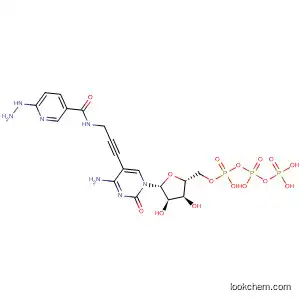 Molecular Structure of 392656-72-3 (Cytidine 5'-(tetrahydrogen triphosphate),
5-[3-[[(6-hydrazino-3-pyridinyl)carbonyl]amino]-1-propynyl]-)