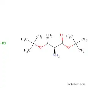 Molecular Structure of 49762-58-5 (L-Threonine, O-(1,1-dimethylethyl)-, 1,1-dimethylethyl ester,
hydrochloride)
