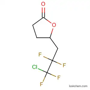 Molecular Structure of 462655-90-9 (2(3H)-Furanone, 5-(3-chloro-2,2,3,3-tetrafluoropropyl)dihydro-)