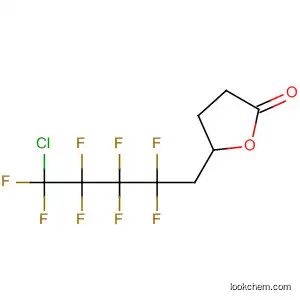 Molecular Structure of 462655-91-0 (2(3H)-Furanone, 5-(5-chloro-2,2,3,3,4,4,5,5-octafluoropentyl)dihydro-)