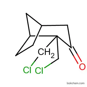 Molecular Structure of 477908-63-7 (Bicyclo[3.2.1]octan-3-one, 2,2-bis(chloromethyl)-)