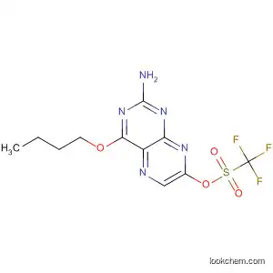 Molecular Structure of 477939-75-6 (Methanesulfonic acid, trifluoro-, 2-amino-4-butoxy-7-pteridinyl ester)