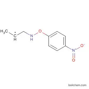 Molecular Structure of 481657-94-7 (Ethyl, 1-methyl-2-[(4-nitrophenyl)oxyamino]-)
