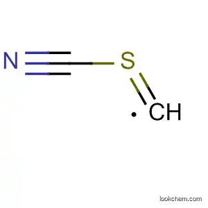 Molecular Structure of 557114-16-6 (Methyl, cyanothioxo-)