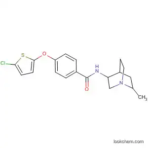 Molecular Structure of 586357-46-2 (Benzamide,
4-[(5-chloro-2-thienyl)oxy]-N-(6-methyl-1-azabicyclo[2.2.2]oct-3-yl)-)