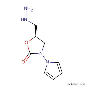 Molecular Structure of 587869-21-4 (2-Oxazolidinone, 5-(hydrazinomethyl)-3-(1H-pyrrol-1-yl)-, (5S)-)