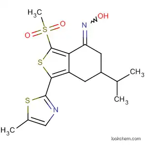 Molecular Structure of 587883-89-4 (Benzo[c]thiophen-4(5H)-one,
6,7-dihydro-6-(1-methylethyl)-3-(methylsulfonyl)-1-(5-methyl-2-thiazolyl)-,
oxime)