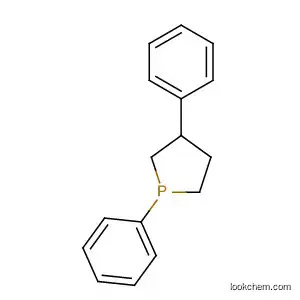 Molecular Structure of 590374-93-9 (Phospholane, 1,3-diphenyl-)