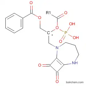 Molecular Structure of 780765-66-4 (Phosphonic acid,
[2-(8,9-dioxo-2,6-diazabicyclo[5.2.0]non-1(7)-en-2-yl)ethyl]-,
mono[(benzoyloxy)methyl] ester)