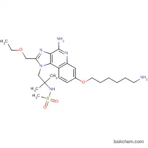 Molecular Structure of 812631-90-6 (Methanesulfonamide,
N-[2-[4-amino-7-[(6-aminohexyl)oxy]-2-(ethoxymethyl)-1H-imidazo[4,5-c
]quinolin-1-yl]-1,1-dimethylethyl]-)