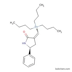 Molecular Structure of 879688-75-2 (2-Pyrrolidinone, 5-phenyl-3-[(tributylstannyl)methylene]-, (5S)-)