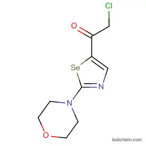 Molecular Structure of 883992-49-2 (Ethanone, 2-chloro-1-[2-(4-morpholinyl)-5-selenazolyl]-)