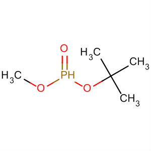 Molecular Structure of 14540-39-7 (Phosphonic acid, 1,1-dimethylethyl methyl ester)