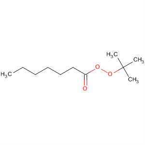 Molecular Structure of 16173-54-9 (Heptaneperoxoic acid, 1,1-dimethylethyl ester)