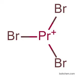 Praseodymium(1+), tribromo-