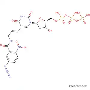 Molecular Structure of 194931-01-6 (Uridine 5'-(tetrahydrogen triphosphate),
5-[(1E)-3-[(5-azido-2-nitrobenzoyl)amino]-1-propenyl]-2'-deoxy-)
