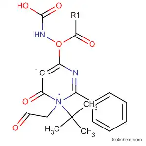 Molecular Structure of 595558-91-1 (Carbamic acid,
[1,6-dihydro-6-oxo-1-(2-oxoethyl)-2-phenyl-5-pyrimidinyl]-,
1,1-dimethylethyl ester)