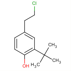 Molecular Structure of 100669-69-0 (Phenol, 4-(2-chloroethyl)-2-(1,1-dimethylethyl)-)
