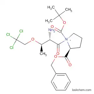 Molecular Structure of 880879-30-1 (L-Proline, N-[(1,1-dimethylethoxy)carbonyl]-O-(phenylmethyl)-L-threonyl-,
2,2,2-trichloroethyl ester)