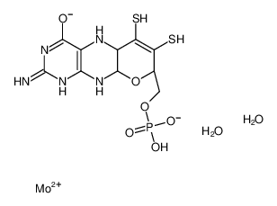 Molybdoenzyme molybdenum cofactor
