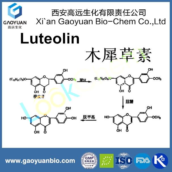 Rhodiola rosea extract with salidroside 1%-5% , rosavin 1%-3% by Chinese manufacturer gaoyuan factory