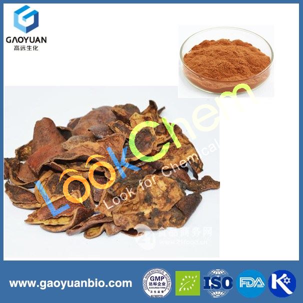 Health food Ganoderma lucidum extract powder 10% Polysaccharides/ Reishi Mushroom extract